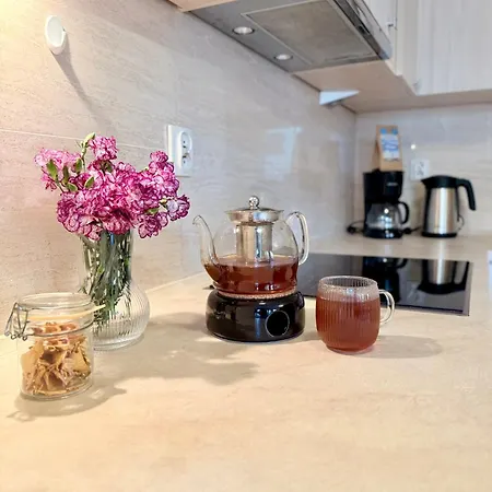 Al-dom Marjonas Zielone Tarasy アパート